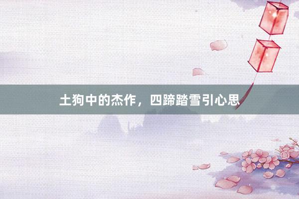 土狗中的杰作，四蹄踏雪引心思